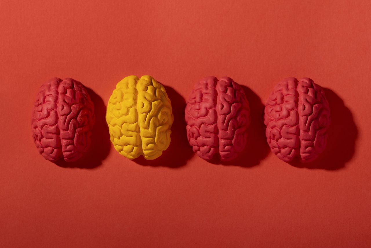 Brain and consumer neuroscience