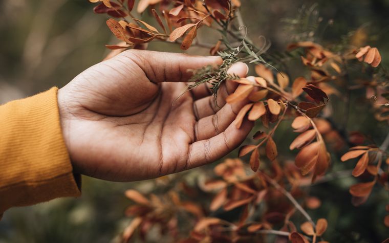 Person writing a welcome email on a laptop